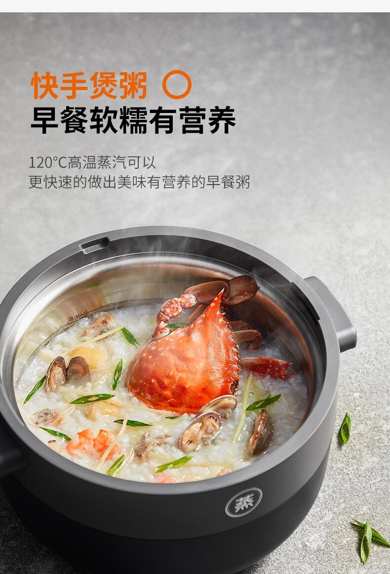 一百家电九阳蒸汽饭煲fs1