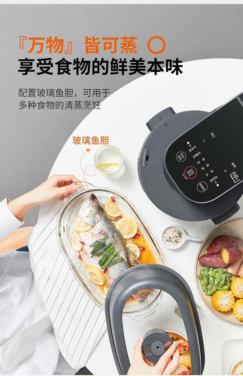 一百家电九阳蒸汽饭煲fs1